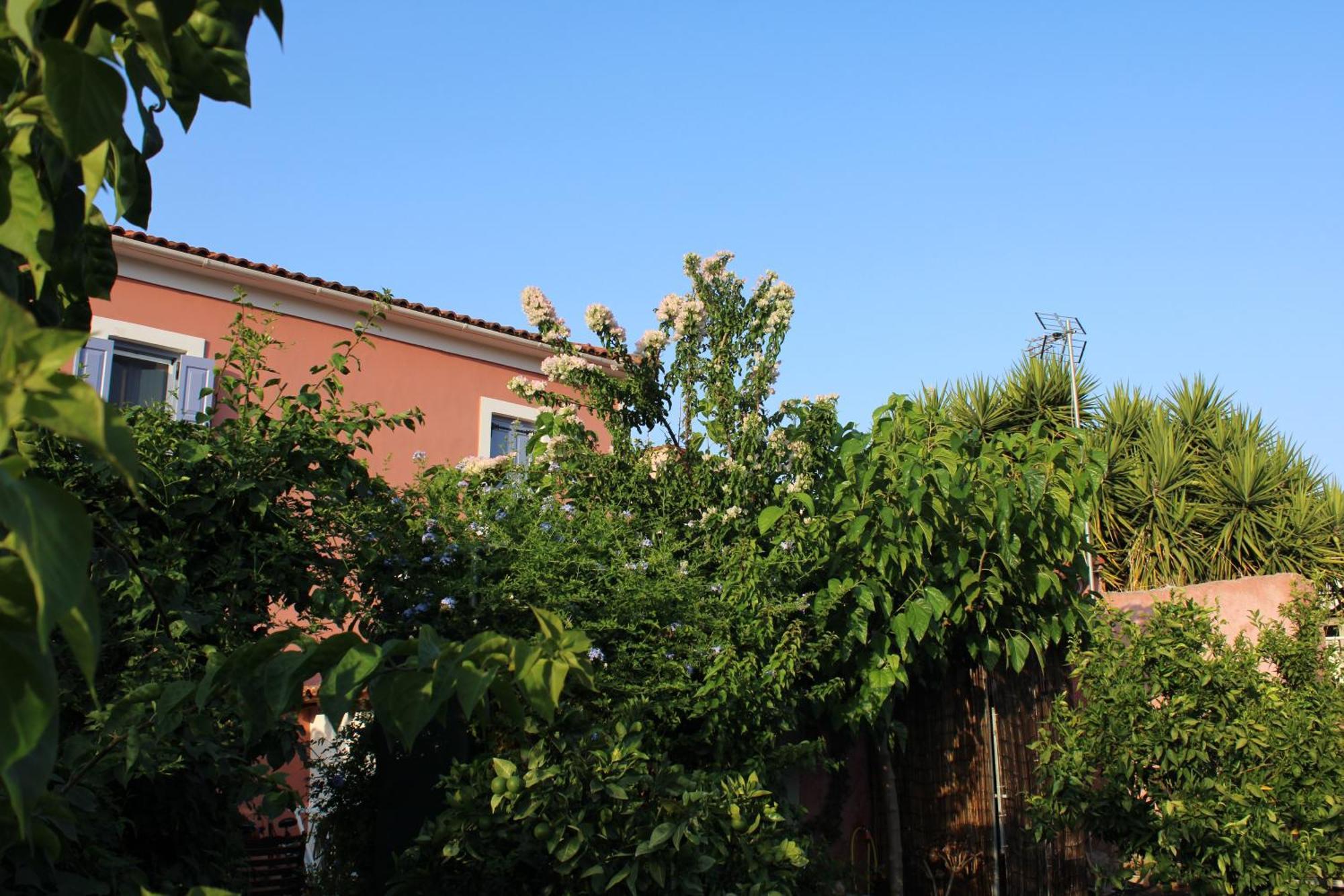 Locrihouse-Stylish Comfortable Home In Galaxidi Ngoại thất bức ảnh